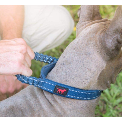 Collar de perro de servicio pesado de nylon balístico