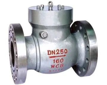 Pressure Seal High Pressure Swing Check Valve