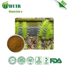 Natural Huperzine A huperzia serrata Extract