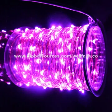 12 volts LED string lights, waterproof with flower decoration
