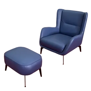 Modern Lounge Chair with Footrest
