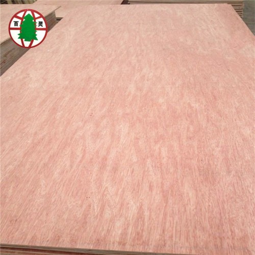 Okoume bintangor commercial plywood for furniture