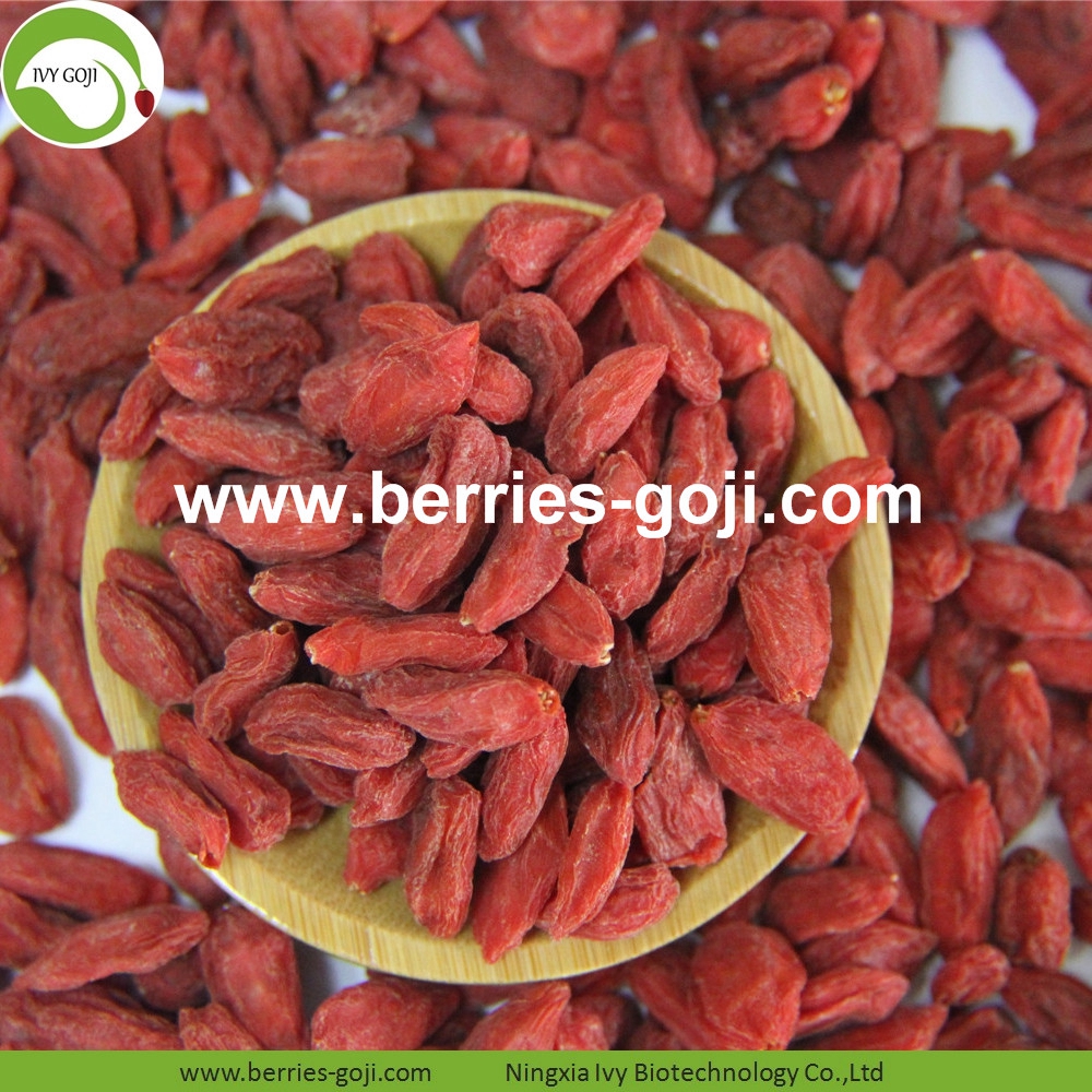 goji berry