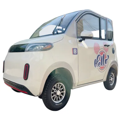 2024 1000W Electric Scooter Mini Car - 4 Seater Electric Mini Car