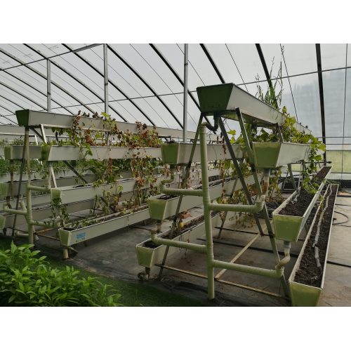 A-Type Stereo Cultivation Rack