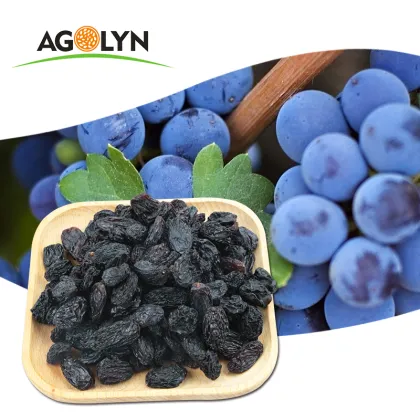 Hot Sell Chinese Purple Raisins Fruit Dry