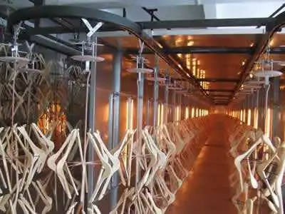 automatic wood paint machine