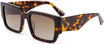 C5 Acetate Eyeglasses Frame Tortoiseshell