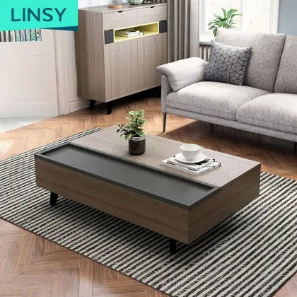 Linsy Nordic Multifunction Living Room Furniture