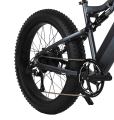 E 자전거 지방 타이어 1000 와트 전기 자전거