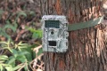Caméra de chasse de surveillance en plein air