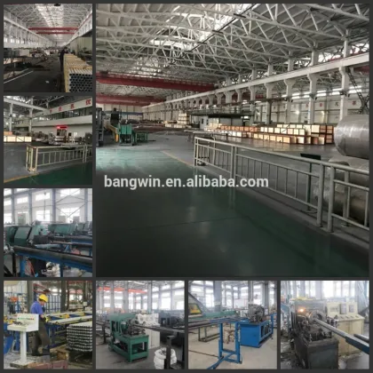 Tubular Heater with Thermostat for Instant Immersion Water Heating