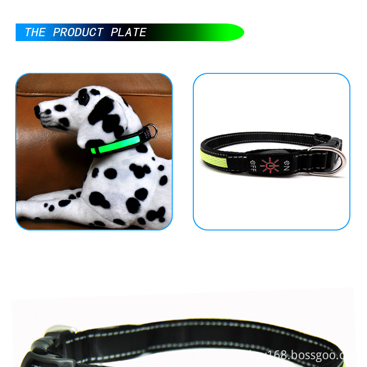 Dog Collar Nylon