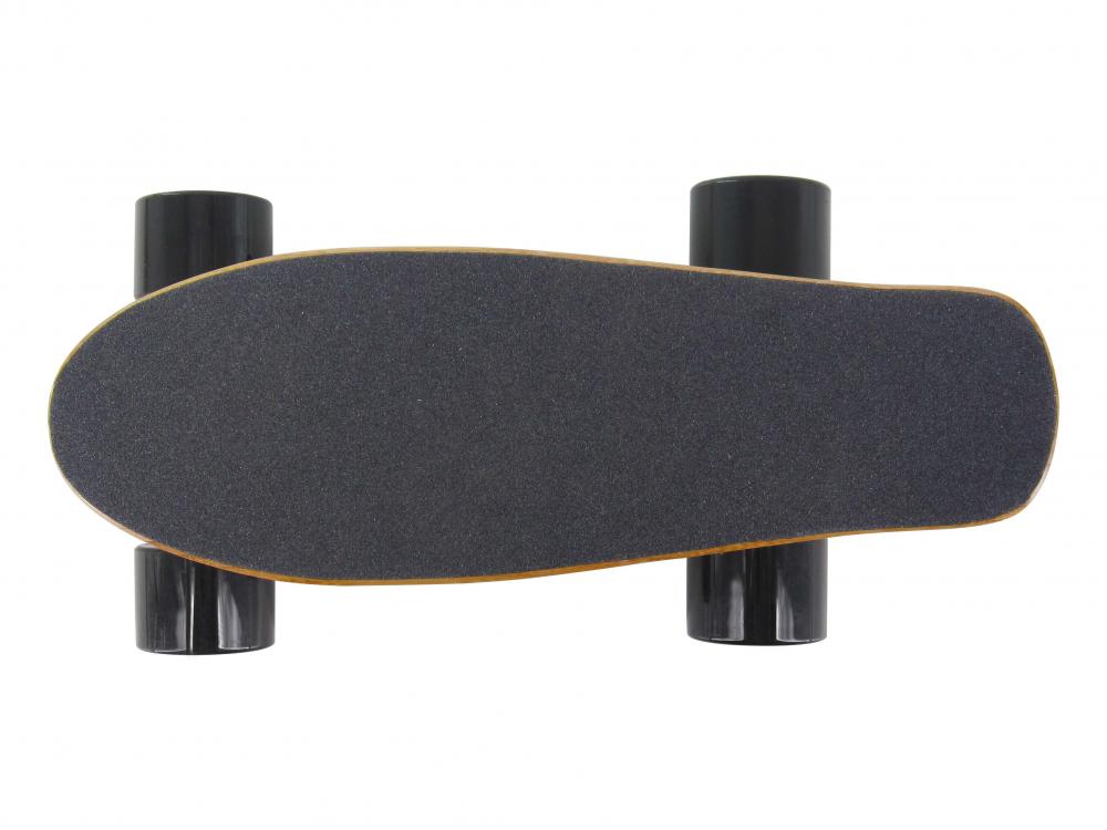 Mini Fish Electric Skateboard