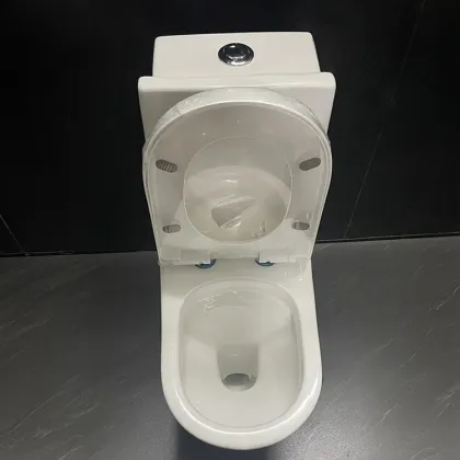 Gold Dragon Sanitary Ware WC Toilet Seat