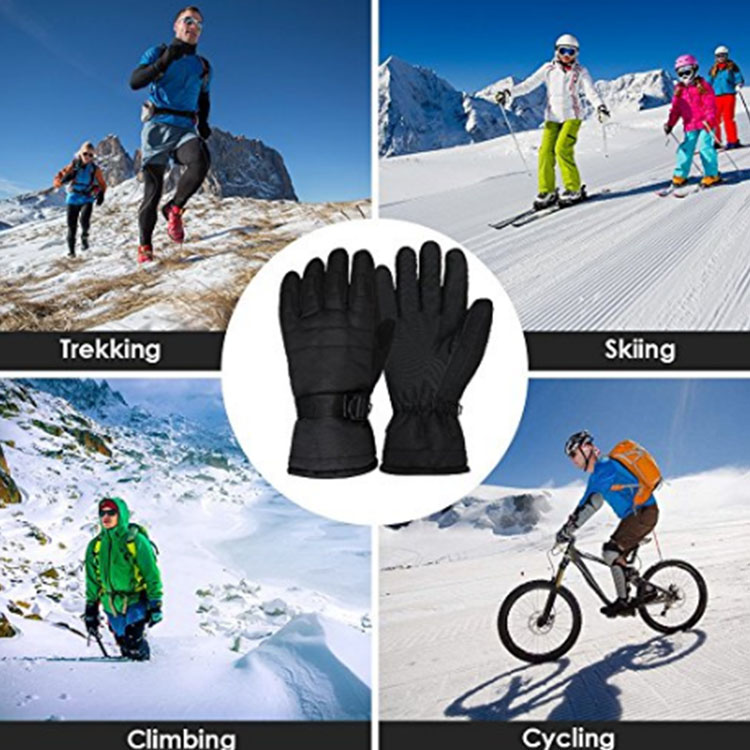 Mountain Climibing Professional Gloves