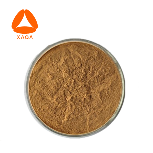 Super Root Powder Pure natural 10:1 organic lotus root Extract powder Factory
