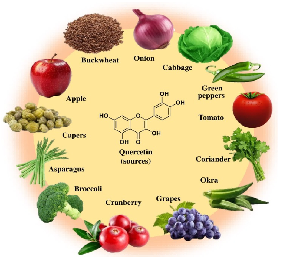 quercetin benefits