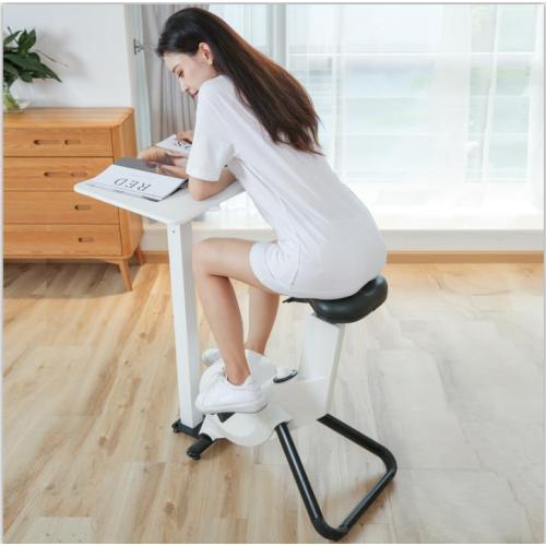 Home Bike Desk Cycling Fitdesk Exercise Bike Desk With Laptop Tray Factory