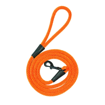 Quick Release 9mm PP Braided Pet Collar Leash with Rivet Decoration