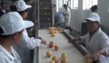 Σύνθετη γραμμή παραγωγής πατατών τσιπ