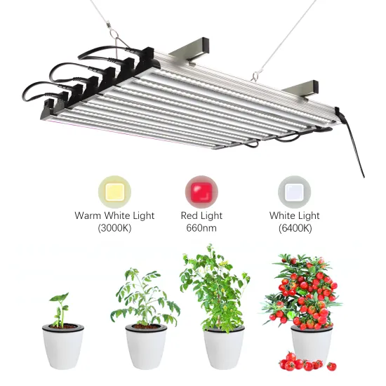 Vertical Aeroponics Garden: China's Indoor Hydroponic System with LED T5 Lights