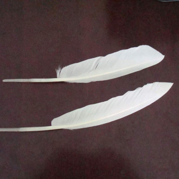 Whosesale Natural Manufactures Best goose feather price