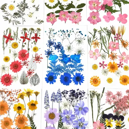 Natural Real Flower Makeup: Cheap Dried Flower Combinations for Embossing and Decoration