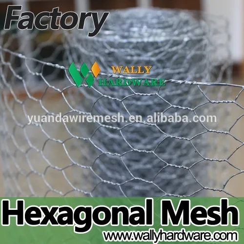 2016 hot sales united states directly factory high quality jackson wire galvanized hexagaonal chicken poultry wire netting                        
                                                Quality Choice