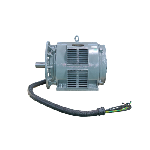 YE2 -serien Compressor Motor IP23