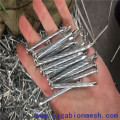 clavos de alambre de hormigón común de hierro de metal comprimido en blanco