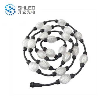 Outdoor Digital RGB Led String led ball light