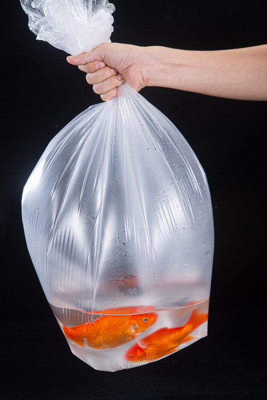 Plastic Handbag Manufactur South Africa