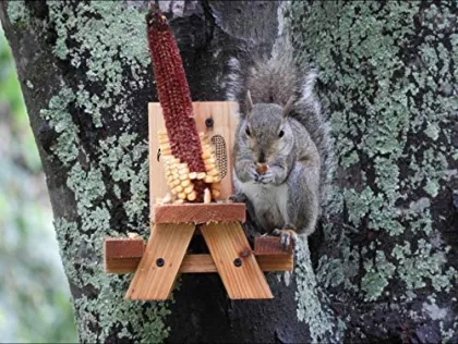 Eastommy hot selling Squirrel Feeders, squirrel picnic table feeder, squirrel feeder picnic table