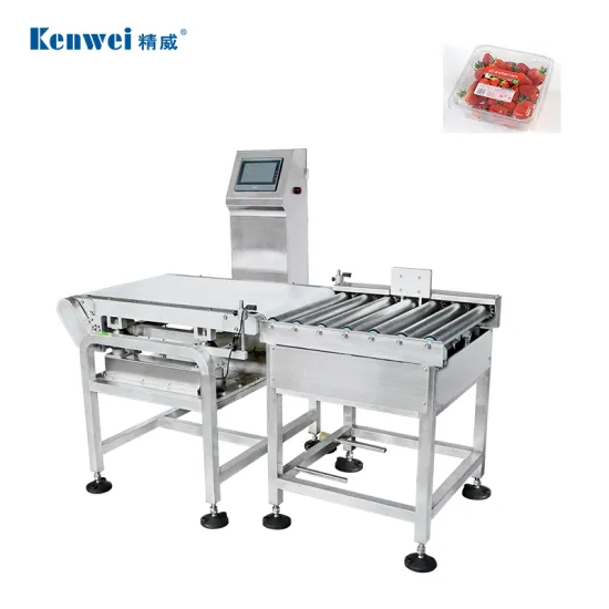 High Accuracy 30kg Touch Screen Belt Conveyor Check Weigher C30000-2-1 (5000-30000g)