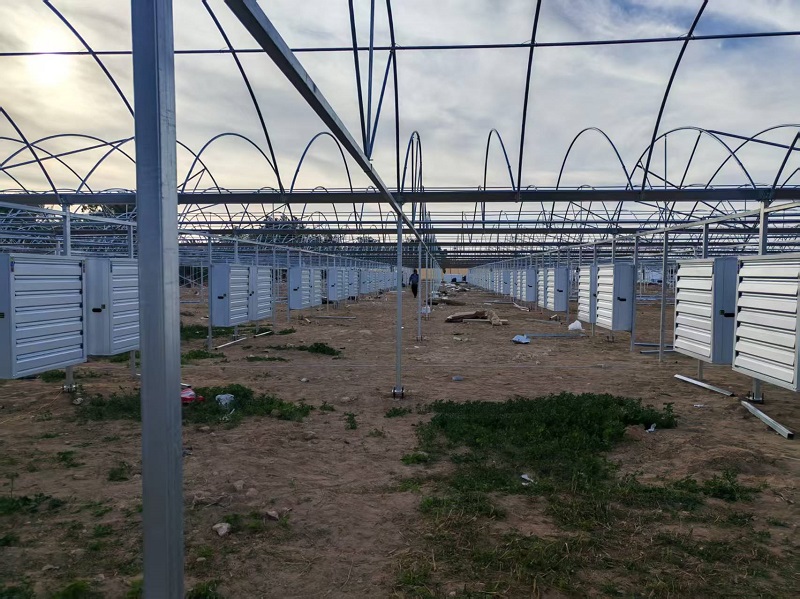 Chongqing Qingcheng Agriculture Accelerates Overseas Expansion; Qatar Greenhouse Project Progress Receives High Praise