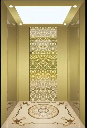 High-Speed Room-Less Passenger Elevator with Low Noise and Affordable Hoist Construction Machinery