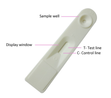 OEM Service HCG Rapid Pregnancy Test Cassette
