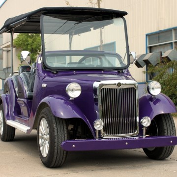 Véhicule de golf classique alimenté au gaz à vendre