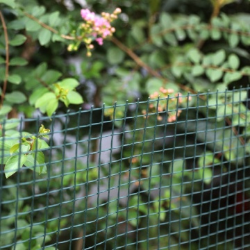 Plastic Square Mesh Garden Fencing