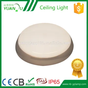 delicated appearance ip65 ceiling light