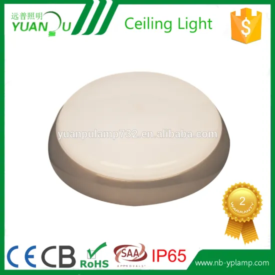 delicated appearance ip65 ceiling light