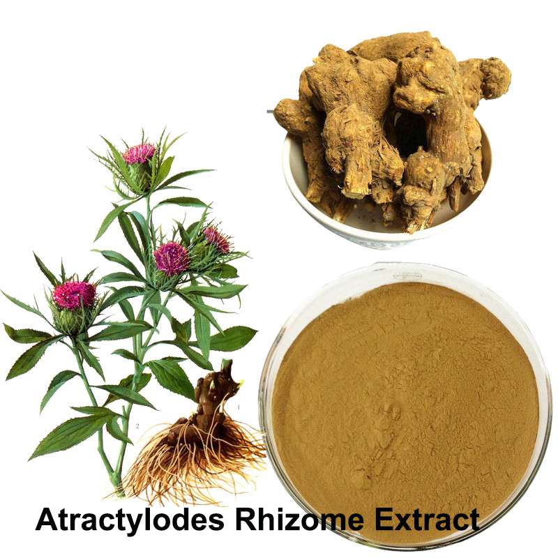 Atractylodes extract (4)