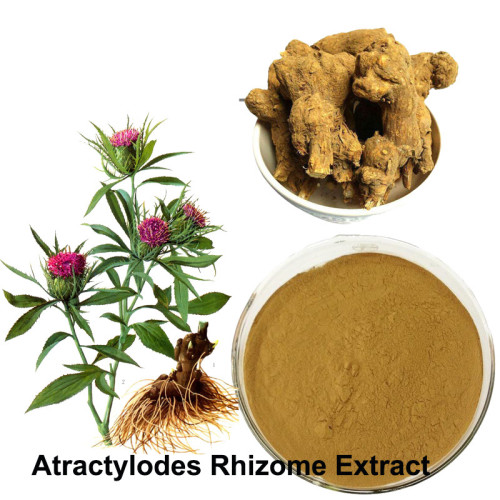 Plant extract Atractylodes extract