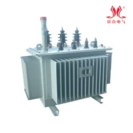 High Voltage Oil Immersed Transformer for Industrial Use