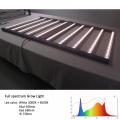 Premium 1000W Grow Light 6x4ft Stock di AS