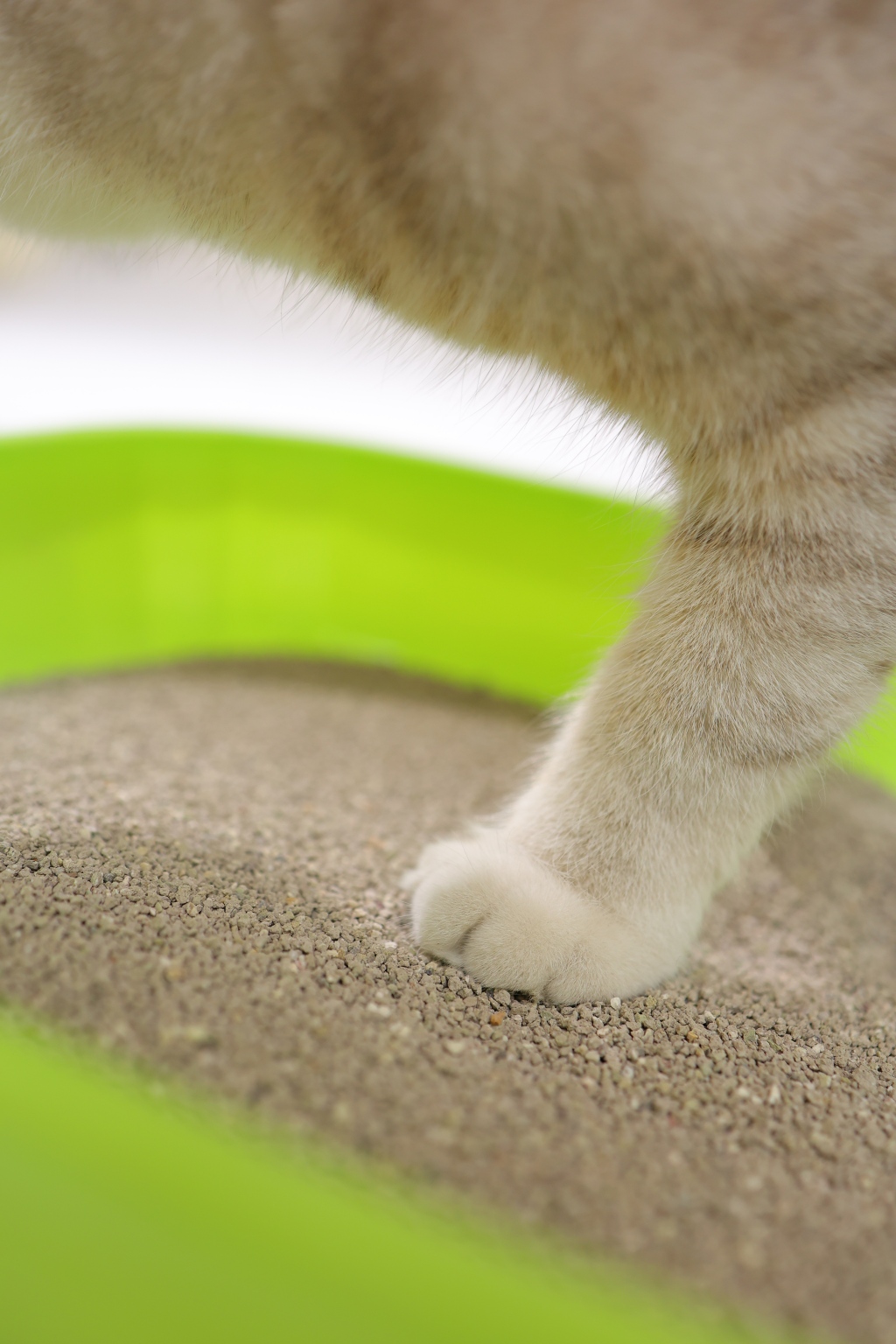 Mixed Size Lemon Scented Activated Charcoal Bentonite Cat Litter3