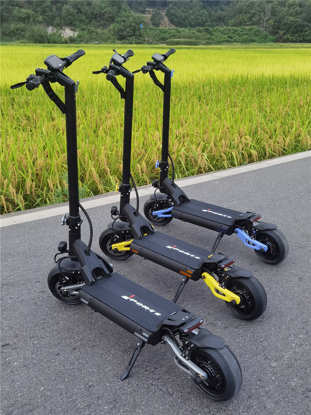 Offroad electric scooter (9)