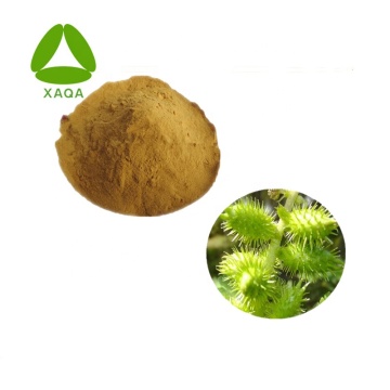 Siberian Cocklebur Fruit Extract Powder Natural