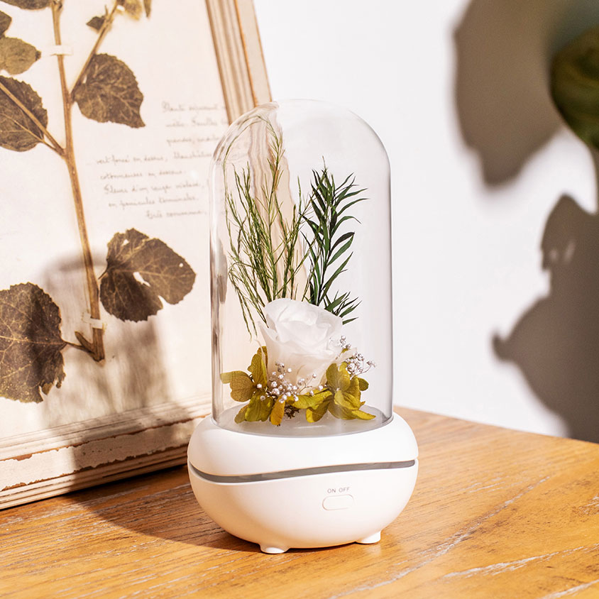 Portable flower aromatherapy freshener air diffuser